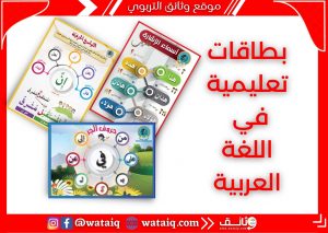 بطاقات قواعد اللغة العربية في حلة رائعة