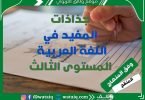 جذاذات المفيد في اللغة العربية المستوى الثالث
